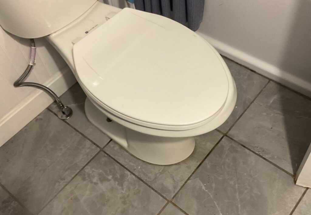 leaking toilet